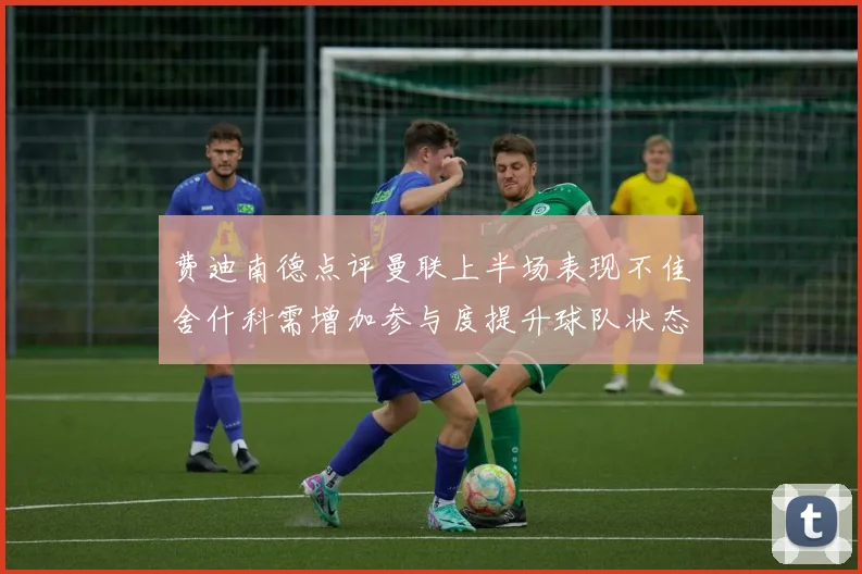 费迪南德点评曼联上半场表现不佳舍什科需增加参与度提升球队状态